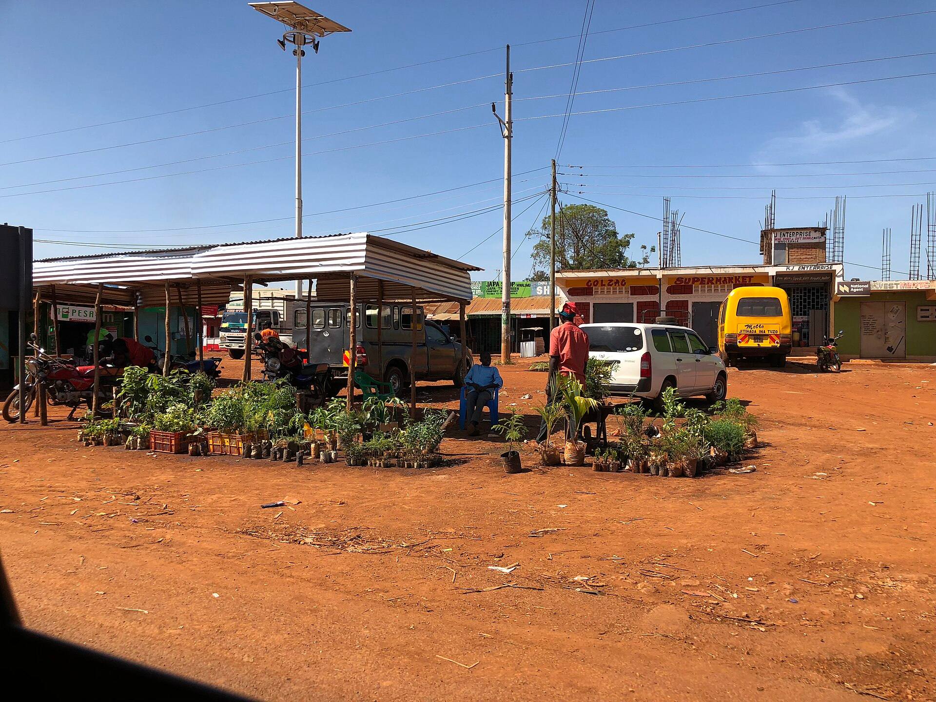 Roadside stalls and plant sellers on a red-earth road in Busia
